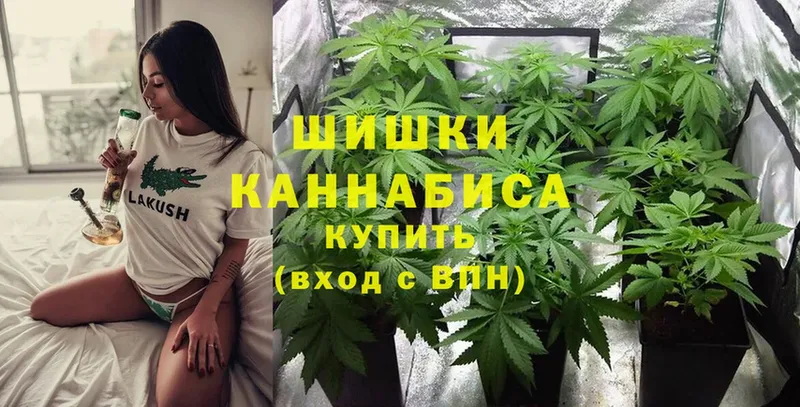 MEGA как зайти  Ногинск  Шишки марихуана OG Kush 